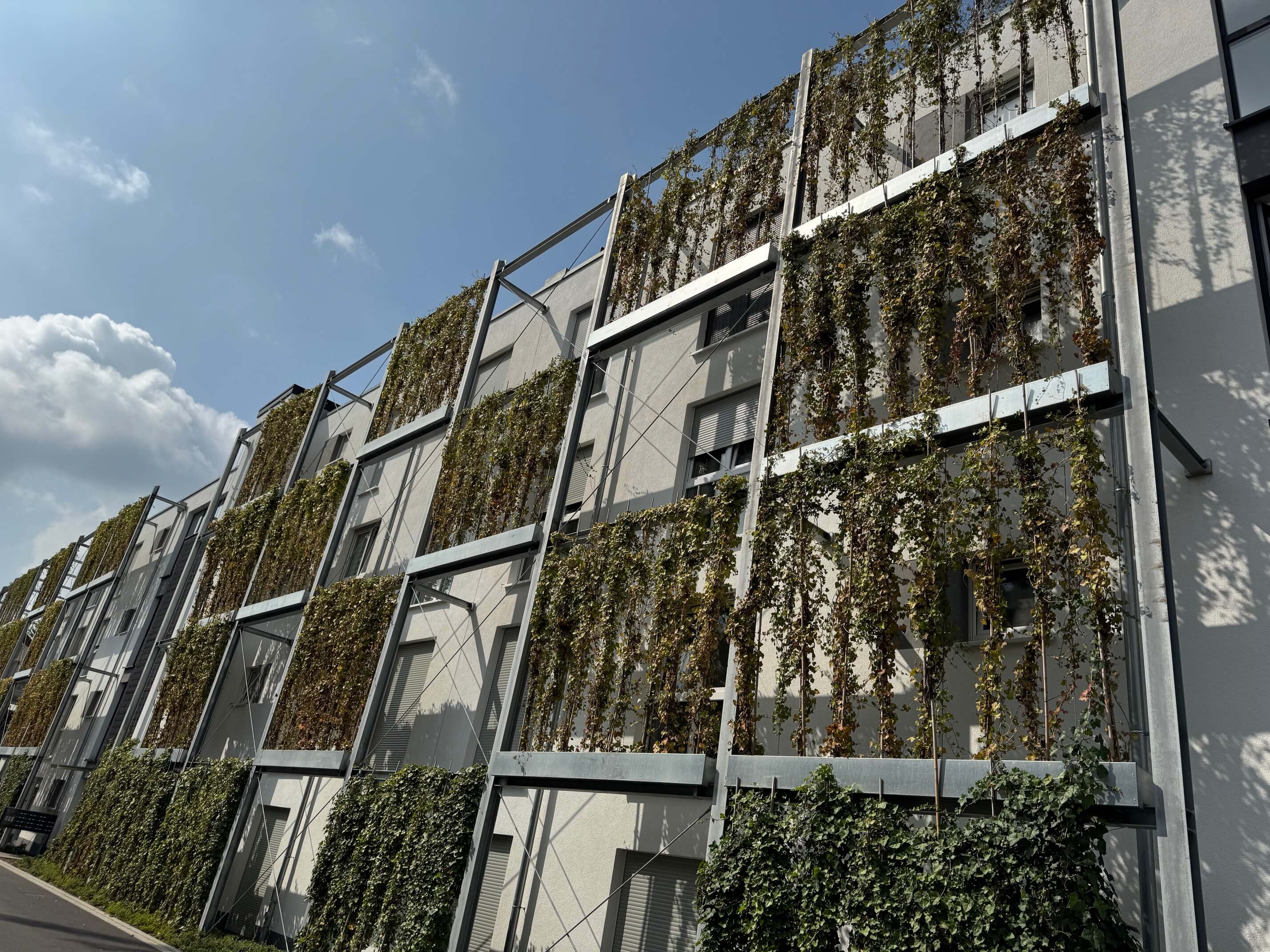 Wohnbebauung Studentenwohnheim Aussenansicht 2